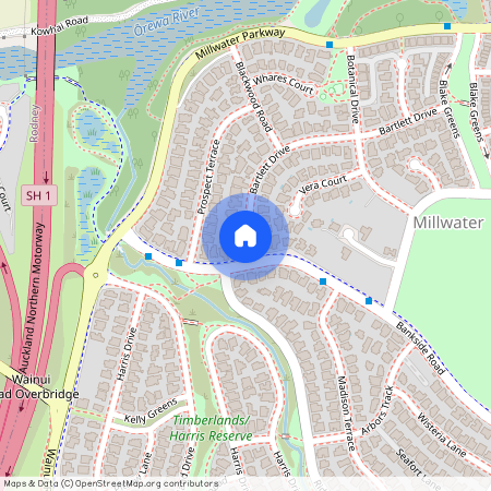 1 Bartlett Drive, Silverdale, Rodney