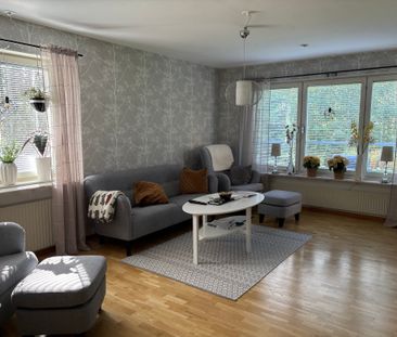 Familjegränd, Skellefteå - Foto 4