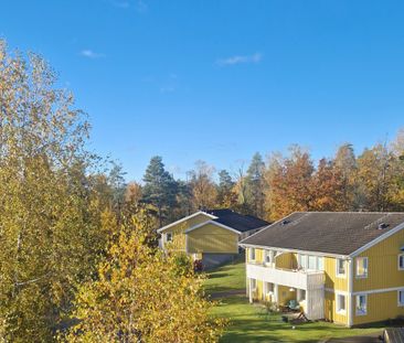 Paulisväg, Pauliström - Foto 3