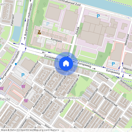 Tulpenlaan 61, Bloemenbuurt, 4904CC, Oosterhout (Nb)