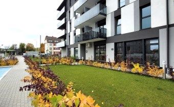 Piła, Śródmieście - Zdjęcie 3