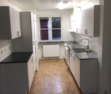 Pilörtsvägen, Fritsla - Foto 3