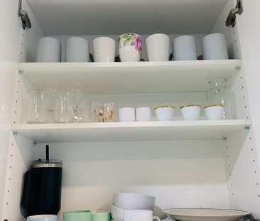 Travancore - Photo 5