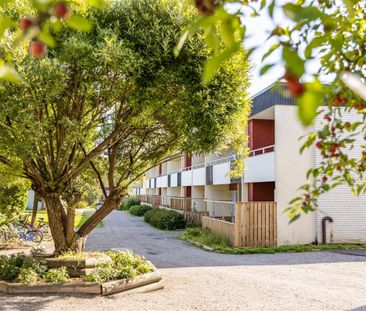 Dirigentvägen 64 - Foto 3