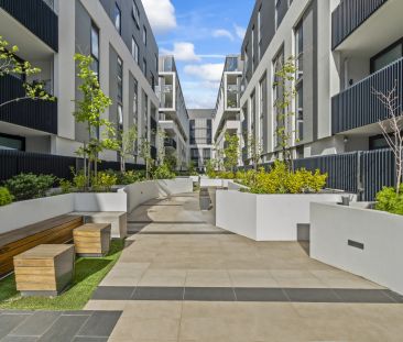 Vibrant Inner-City Living with Exceptional Resident Facilities! - Photo 2