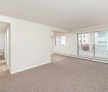 Diplomat Manor - Photo 2