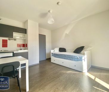 Location Appartement 1 pièce 19m² LIMONEST 69760 - Photo 2