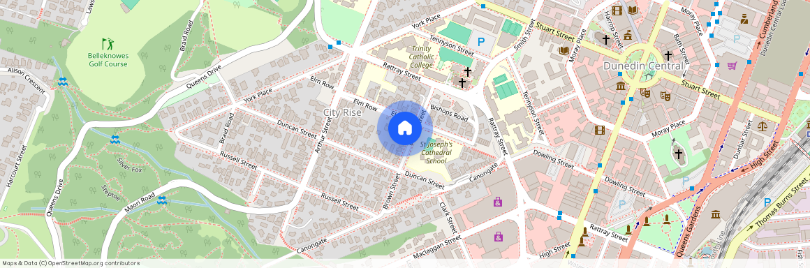 20 Brown Street, Dunedin Central, Dunedin City