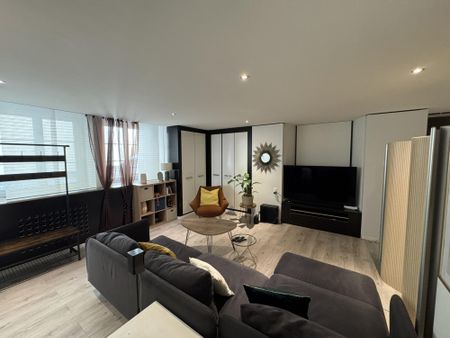Studio spacieux et luxueux - Photo 2