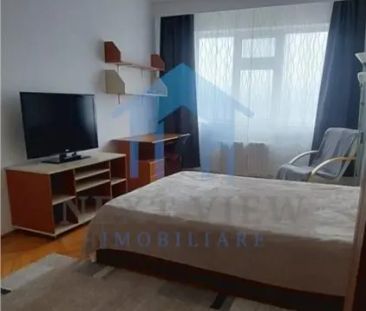 Apartament 1 camera, Gruia - Photo 4