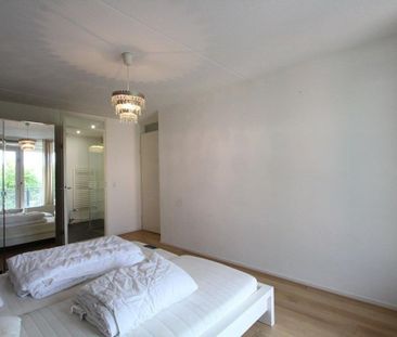 Biesbosch, Duivendrecht - Photo 5