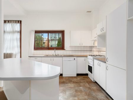 39 Wigram Road, Glebe NSW 2037 - House For Rent | Domain - Photo 5