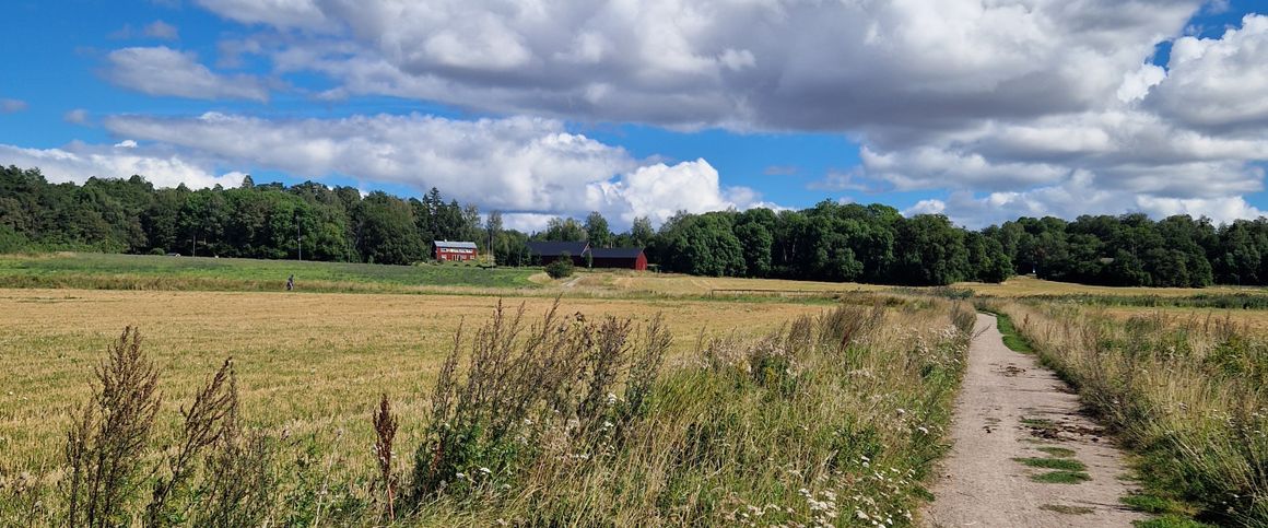 August Södermans väg, Uppsala - Foto 1