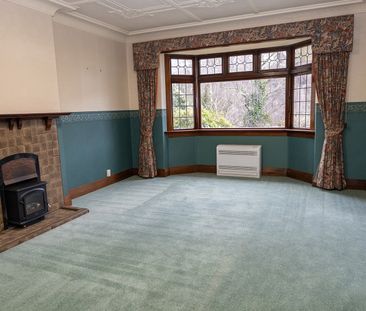 Spacious 4-Bedroom Home in the Heart of Dunedin – City Living at It... - Photo 6