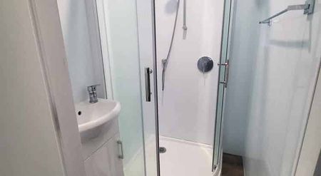 1 bedroom self-contained flat - Photo 3