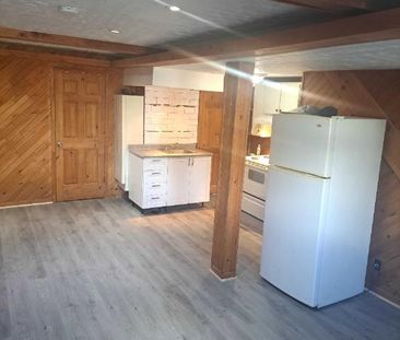 Grand 2 et 1\2 (rénové-tout inclus) - Photo 3