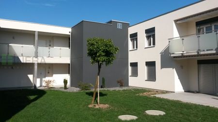 Adapted accommodation of 65 m2 on the 1st floor Available from 1st September 2025 - Foto 2