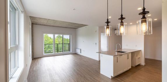 6 1/2 + en COIN - Bureau - Lévis centre-ville - Photo 2