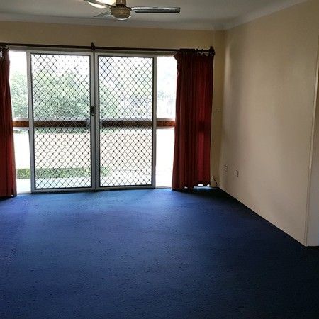 Pet friendly UNIT IN CENTRAL INDOOROOPILLY - Photo 1