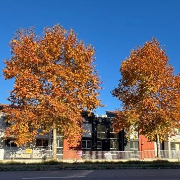 Location Appartement 1 pièce 23m² CASTANET TOLOSAN 31320 - Photo 2