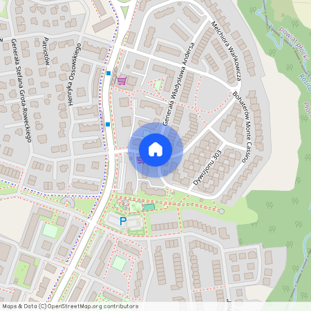 ul. Monte Cassino, Płock, mazowieckie