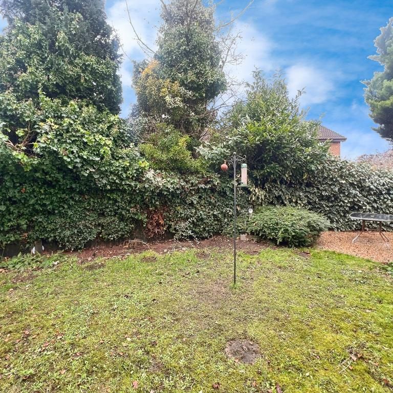 2 bedroom semi-detached house to rent - Photo 1