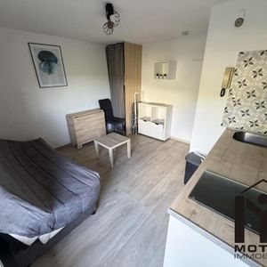 Location Appartement 1 pièce Meublé 13m² VILLERS LES NANCY 54600 - Photo 2