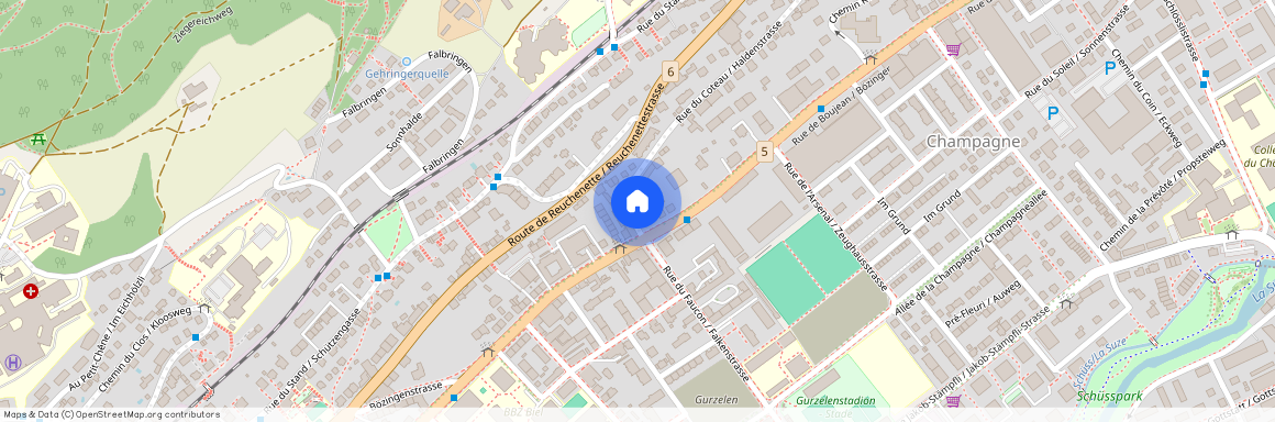 2502, Biel/Bienne, Rue Du Coteau / Haldenstrasse, 4