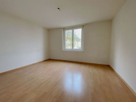 Zentrales Wohnen im Kreis 11 - Photo 1