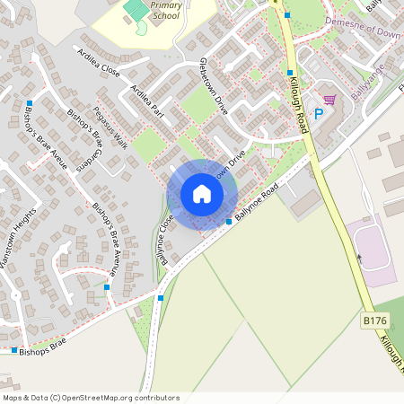 35 Pegasus Walk, Downpatrick, BT30 6QJ