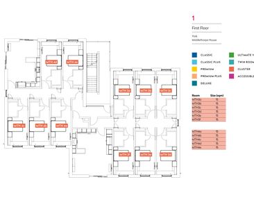 Premium Plus - Photo 5