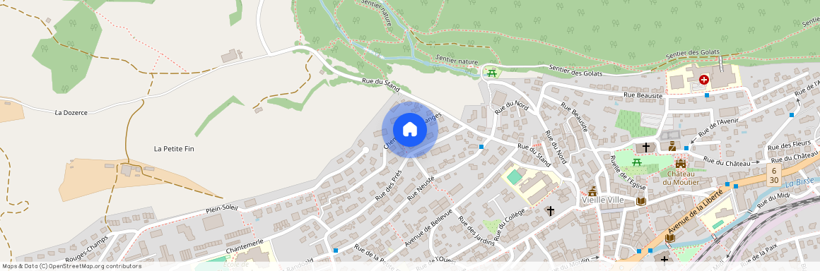 2740, Moutier, Chem. des Mésanges, 7