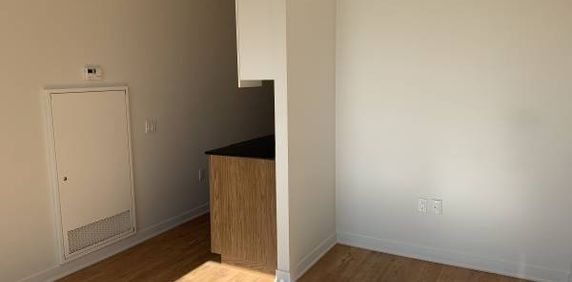 Modern 1-Bedroom Apartment in Downtown Ottawa– Available Feb 1st - Photo 2