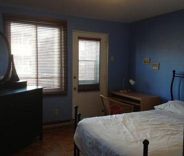 3 1/2 - Montréal (Hochelaga / Maisonneuve) - 1 300 $/mois - Photo 3
