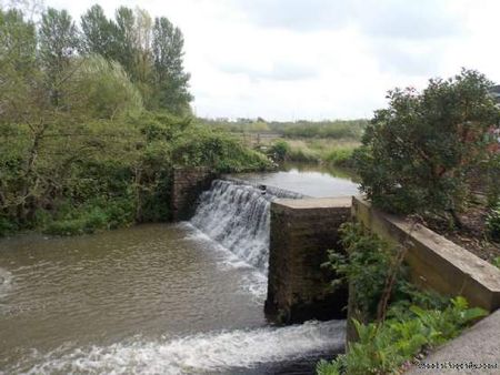 2 bedroom property to rent in Frome - Photo 3