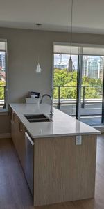 Beacon on the Park- Beautiful Penthouse! 2 Bedroom, 2 Bathroom $4290 - Photo 3