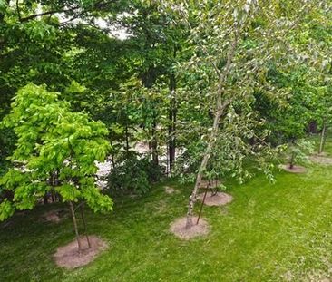 For Lease - 200 Burnhamthorpe Road Unit# 802, Mississauga, Ontario - Photo 1