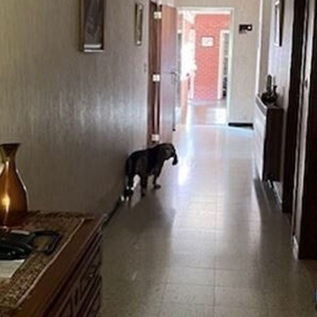 Eengezinswoning te huur in Kozen voor € 1.050 met 3 slaapkamers - Photo 1