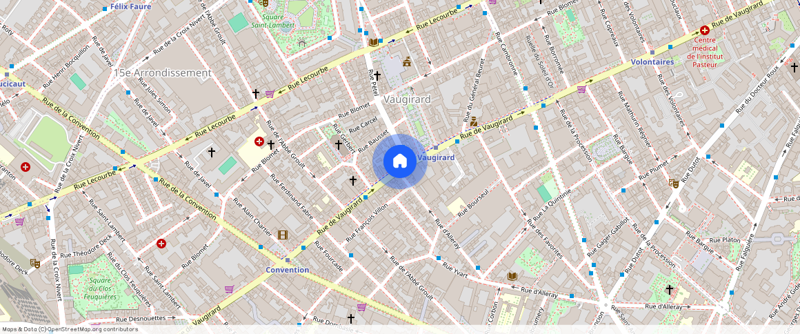 Rue de Vaugirard, 75015, Paris