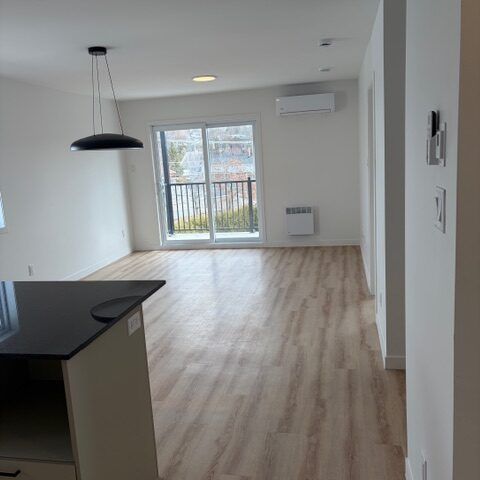 544 Rue Saint-Michel, Sherbrooke, (Vacant) QC J1E 2L1 - Photo 1