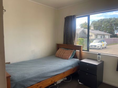 Tidy and compact property in Te Puke - Photo 3