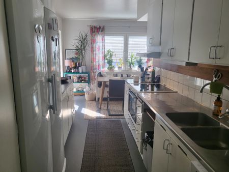 Geografigränd, Umeå - Photo 3