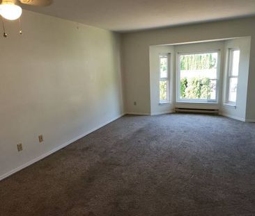 Top Floor - Large 2 Bedroom - Available Now - Photo 1