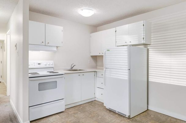 Renovated Suite - 2 Bedroom - Photo 1