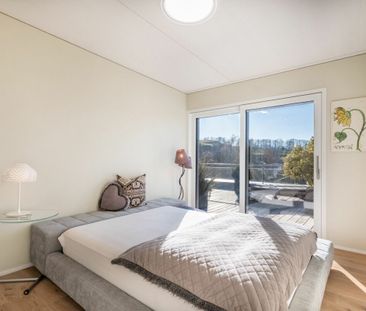 Living where light and freedom are at home - Photo 3