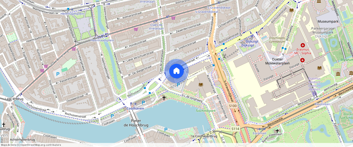 Rochussenstraat **, Dijkzicht, Rotterdam