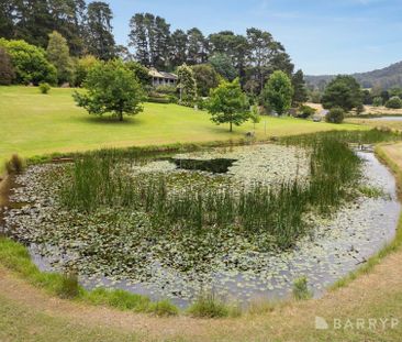 Dixons Creek - Photo 4