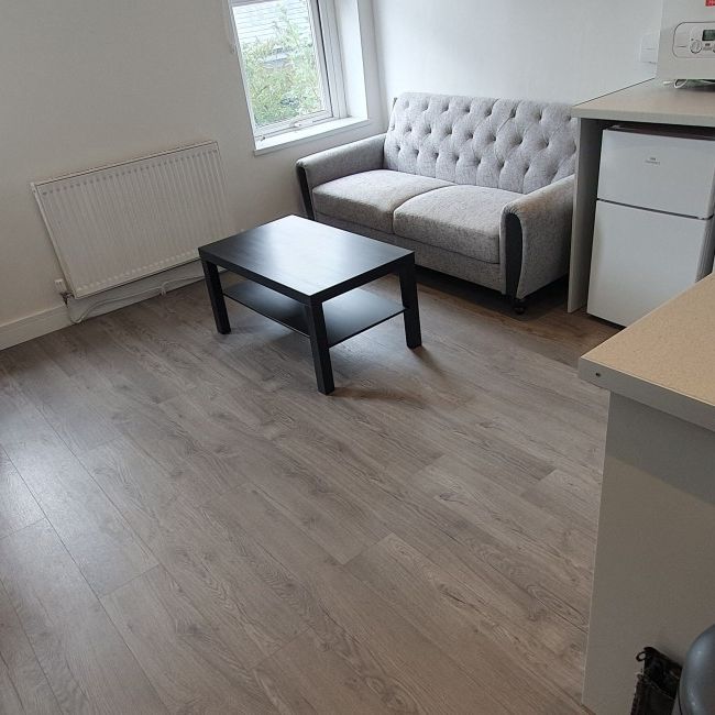 Flat 3, 212 Newport Road, Roath, Cardiff, CF24 1DN - Photo 1