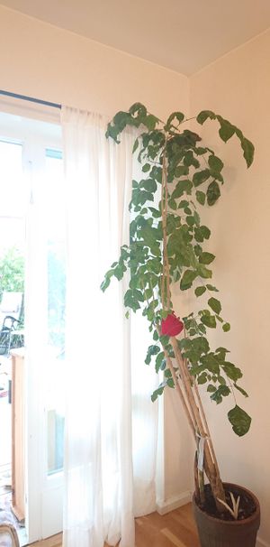 Veronikagränd, Tyresö - Photo 1