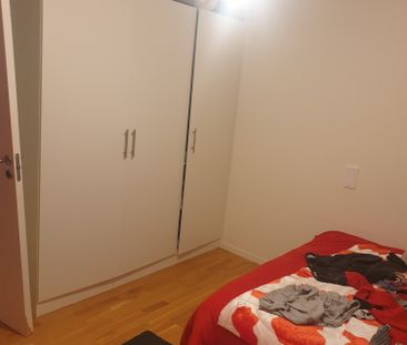 Ekonomstråket, Umeå - Foto 5